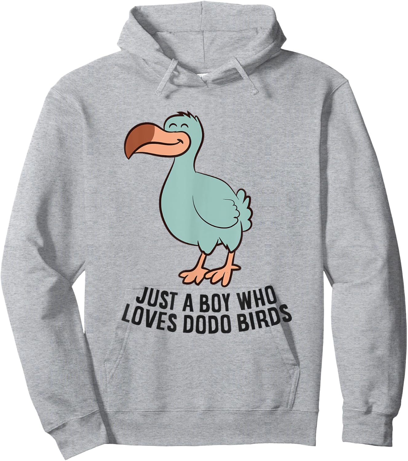 Just a Boy Who Loves Dodo Birds Hoodie - Hoodie | Ash