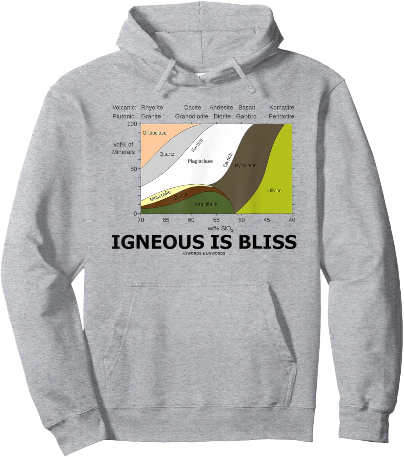 Igneous Is Bliss Geology Rock Geek Humor Hoodie - Hoodie | Ash