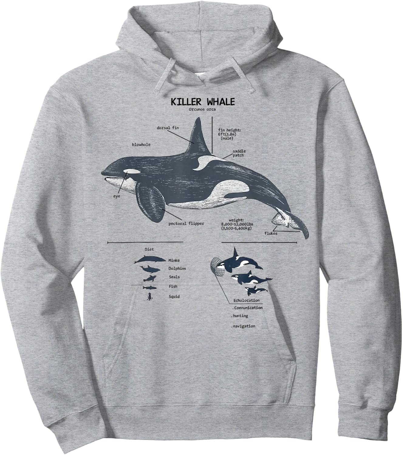 Killer Whale Anatomy Marine Biologist Hoodie - Hoodie | Ash