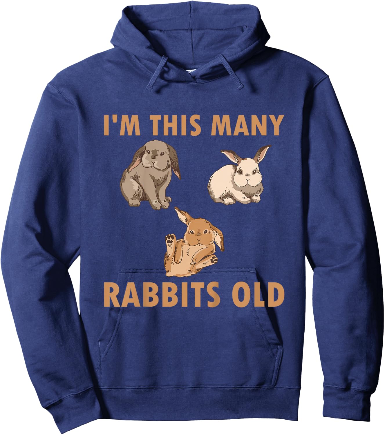 Kids 3 Year Old Bunny Rabbits Old 3rd Birthday Hoodie - Hoodie | Navy