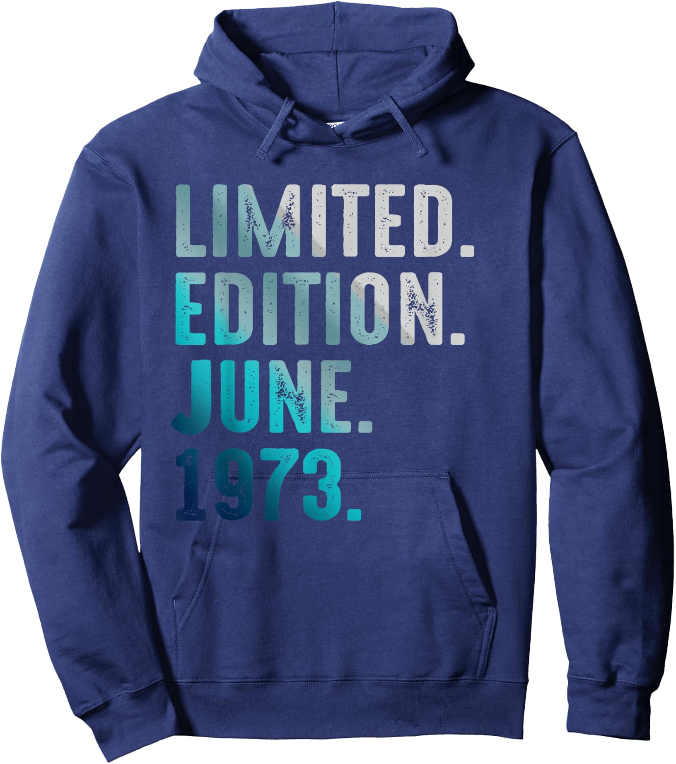 Limited Edition June 1973 Retro Vintage 1973 Hoodie - Hoodie | Navy