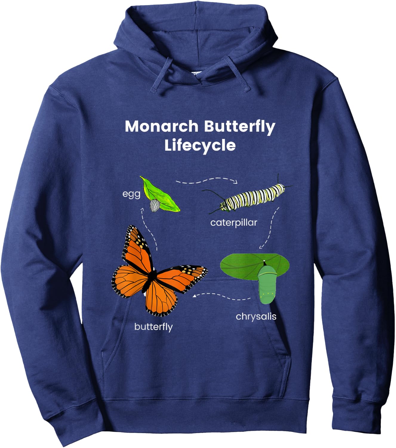 Monarch Butterfly Lifecycle Hoodie - Hoodie | Navy