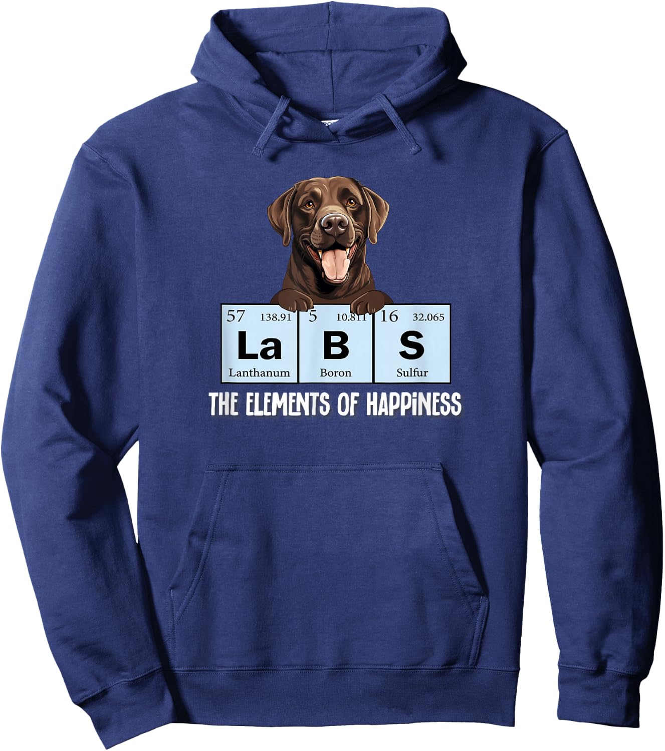 Kids Labs Element of Happiness Chocolate Lab Hoodie - Hoodie | Navy