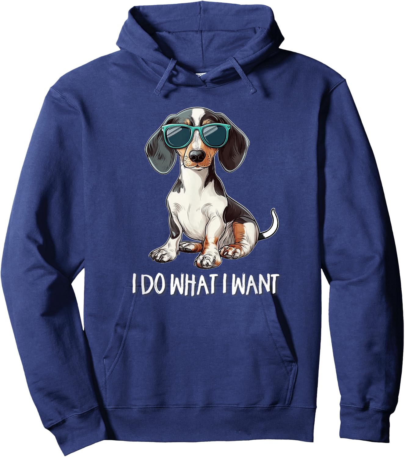 Funny Do What I Want Piebald Dachshund Lover Hoodie - Hoodie | Navy
