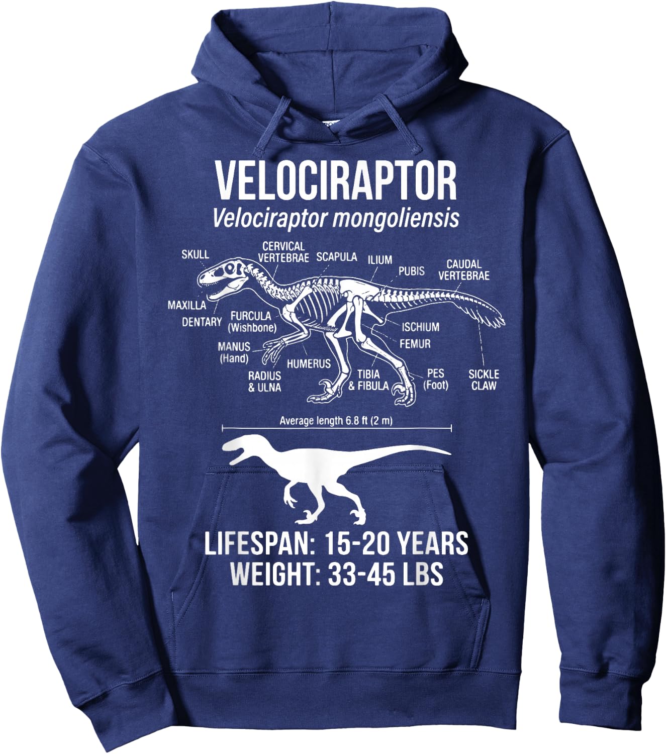Velociraptor Diagram Hoodie - Hoodie | Navy