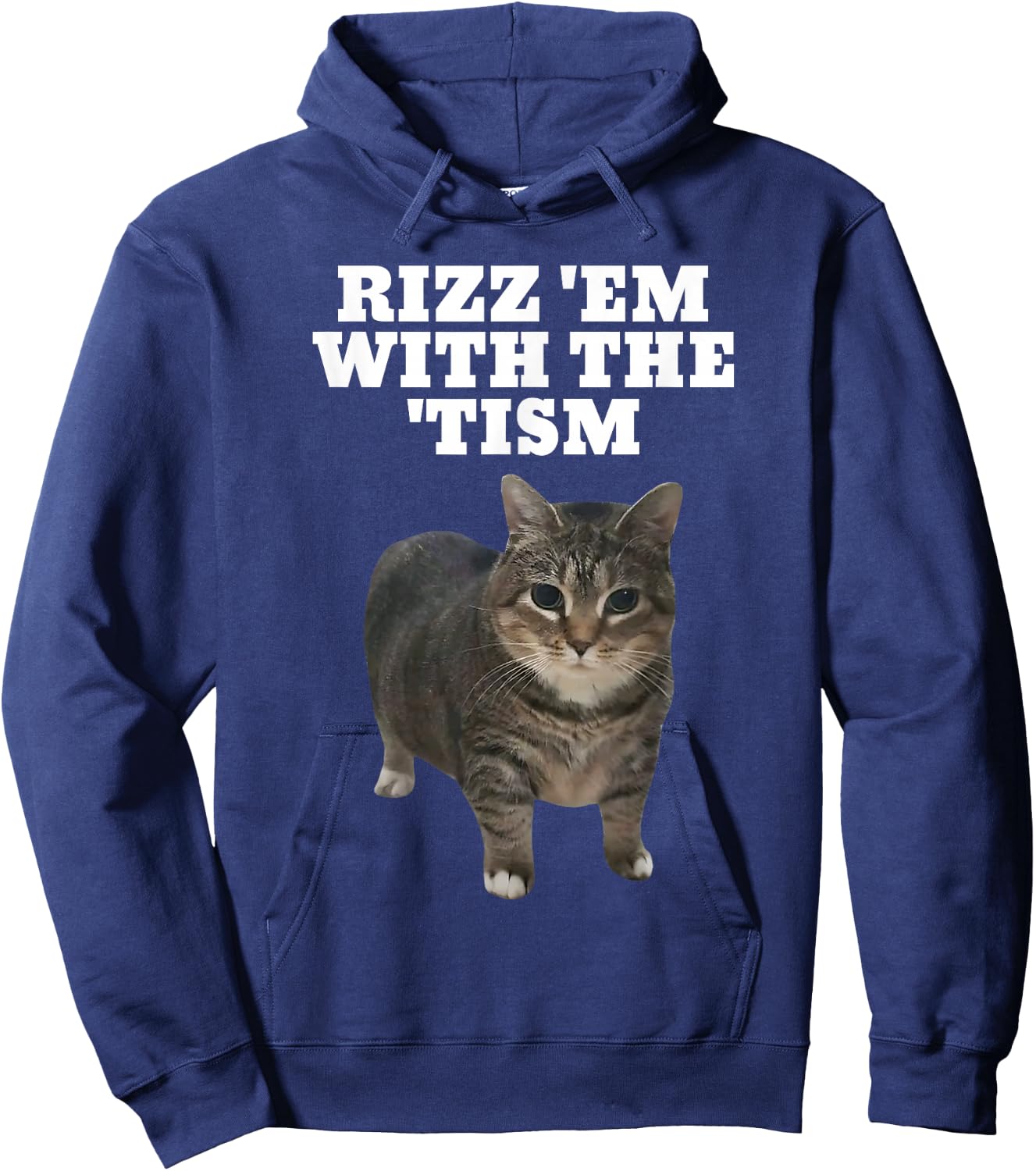 Rizz Em With The Tism Autistic Cat Rizz Hoodie - Hoodie | Navy