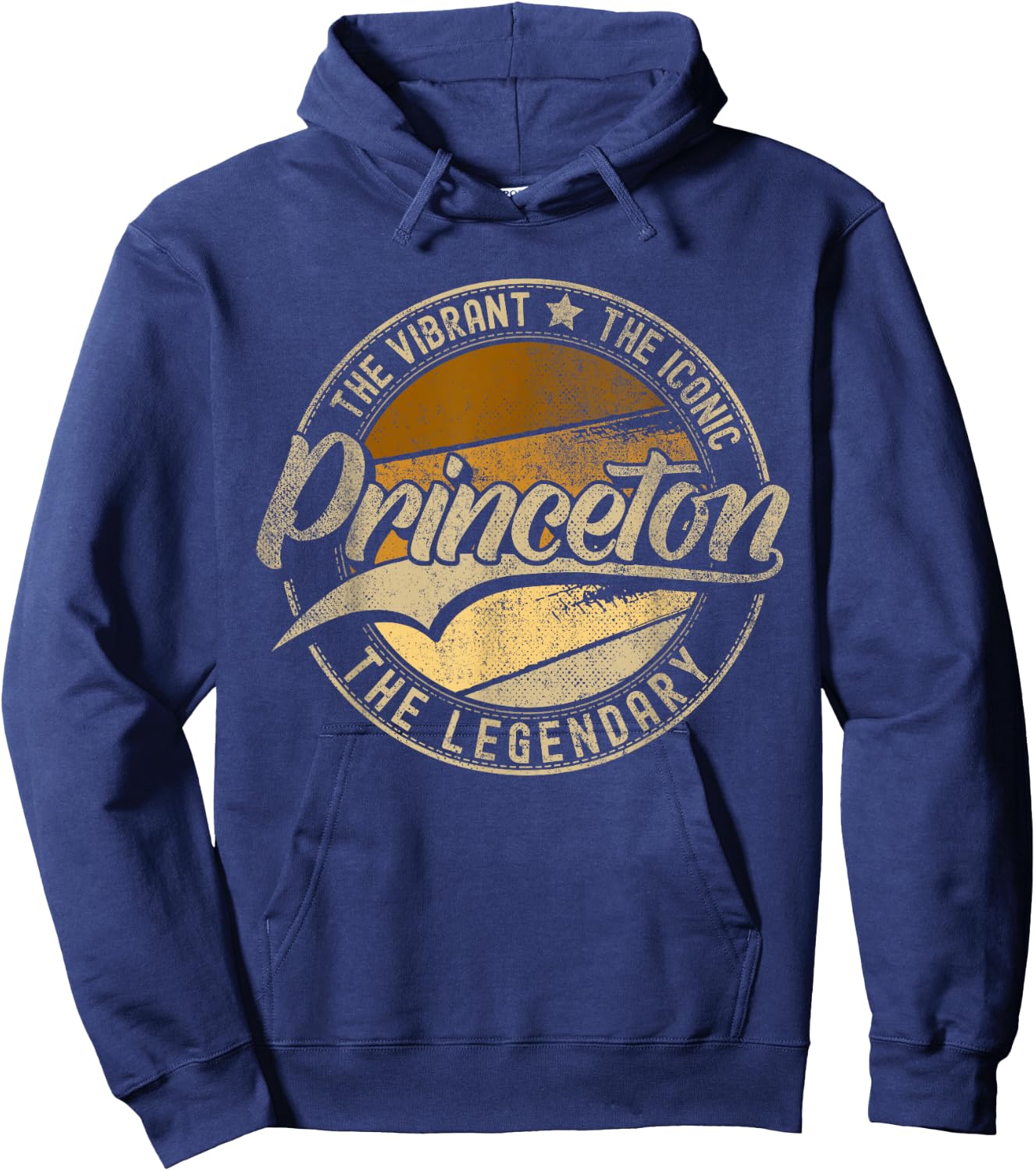 Princeton NJ | New Jersey | Vintage Distressed Hoodie - Hoodie | Navy