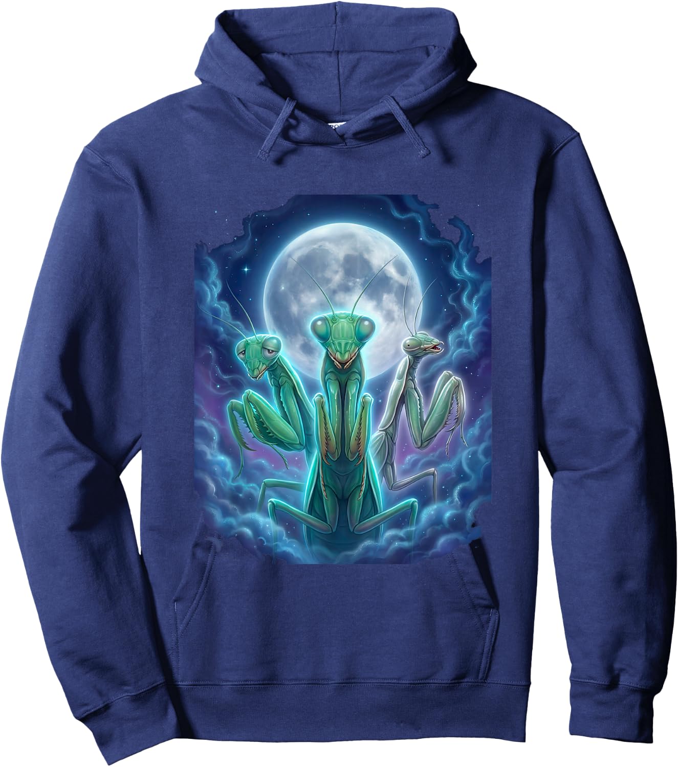 Praying Mantis Moon Cosmic Dreamy Graphic Hoodie - Hoodie | Navy