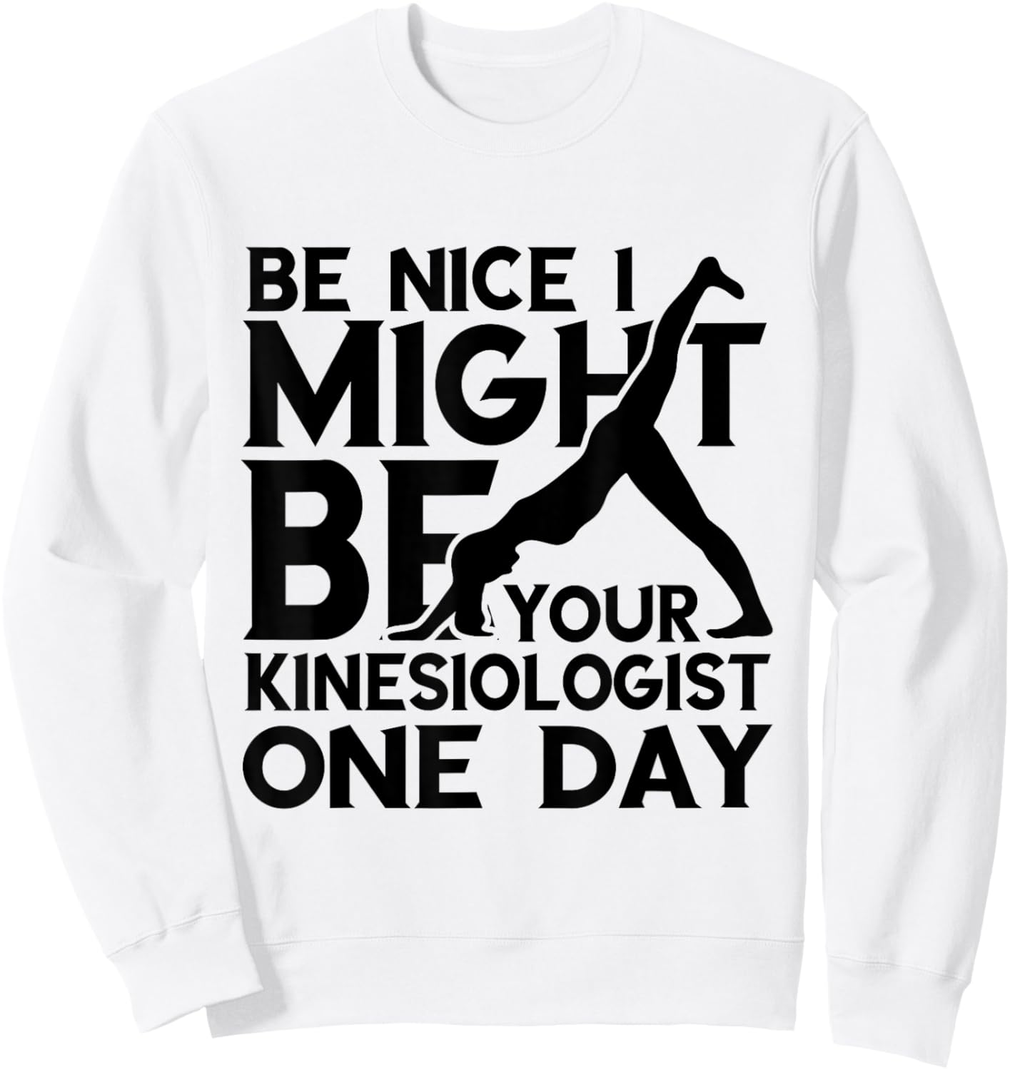 Kinesiology Kinesiologist One Day Be Nice Kinesiotherapist Sweatshirt - Sweatshirt | White