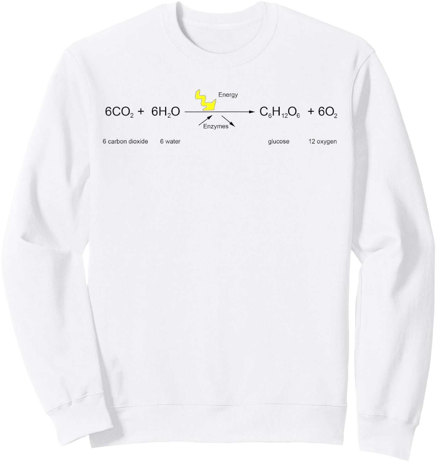 Photosynthesis Cycle Funny Biology Class Kids Student Shirt Sweatshirt - Sweatshirt | White