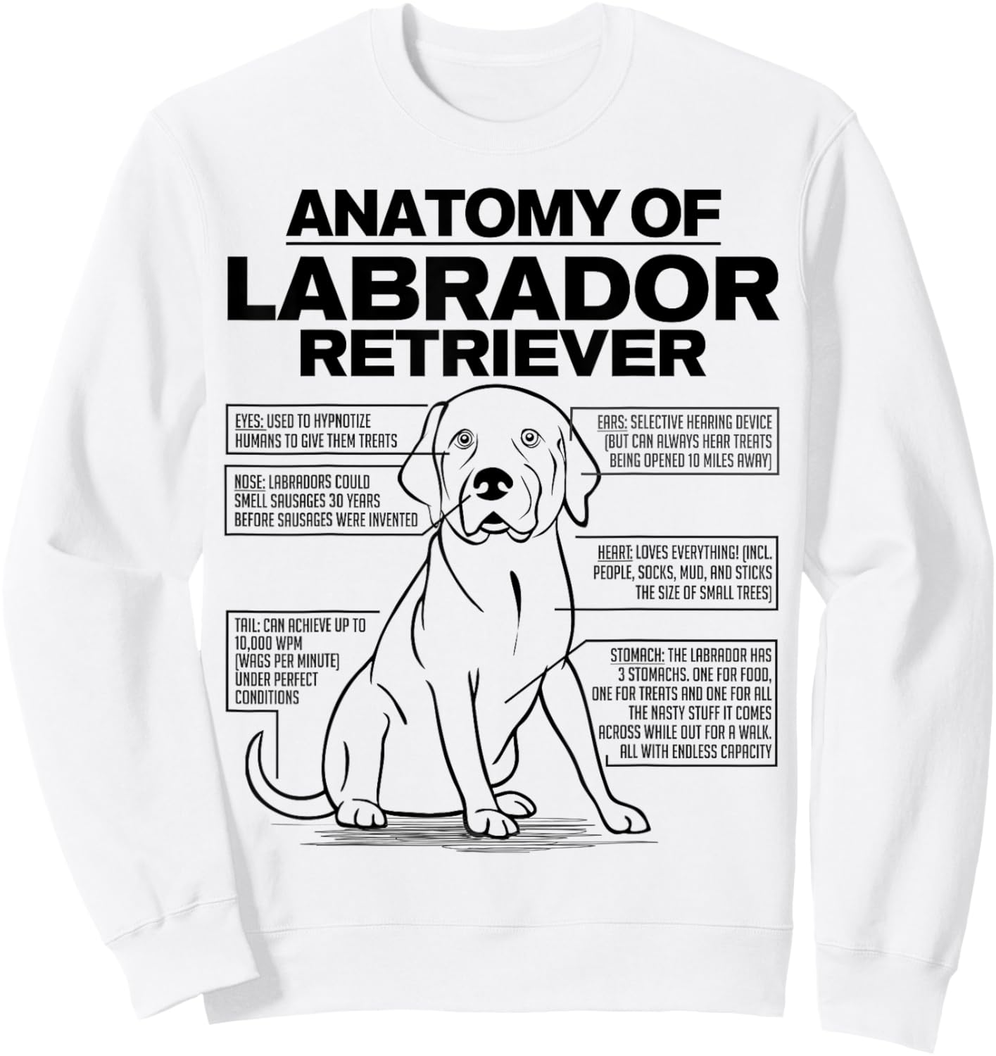 Anatomy of a Labrador Retriever Funny Dog owner gifts shirt Sweatshirt - Sweatshirt | White