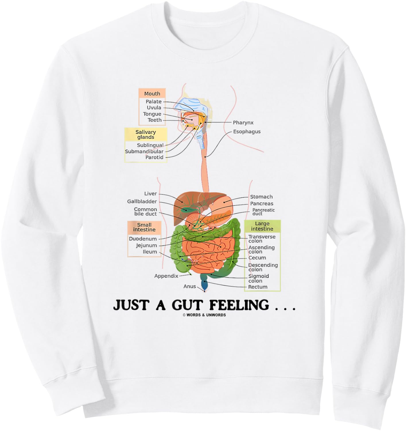Just A Gut Feeling Digestive System Humor Sweatshirt - Sweatshirt | White