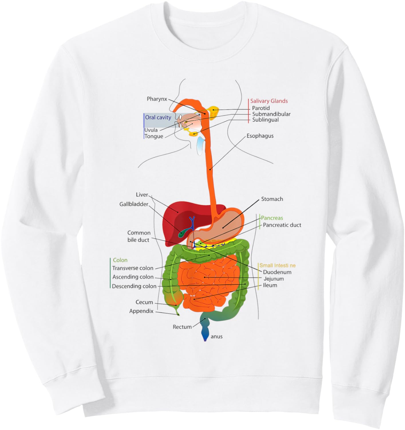 Human Body Digestive System Gastrointestinal Tract Anatomy Sweatshirt - Sweatshirt | White