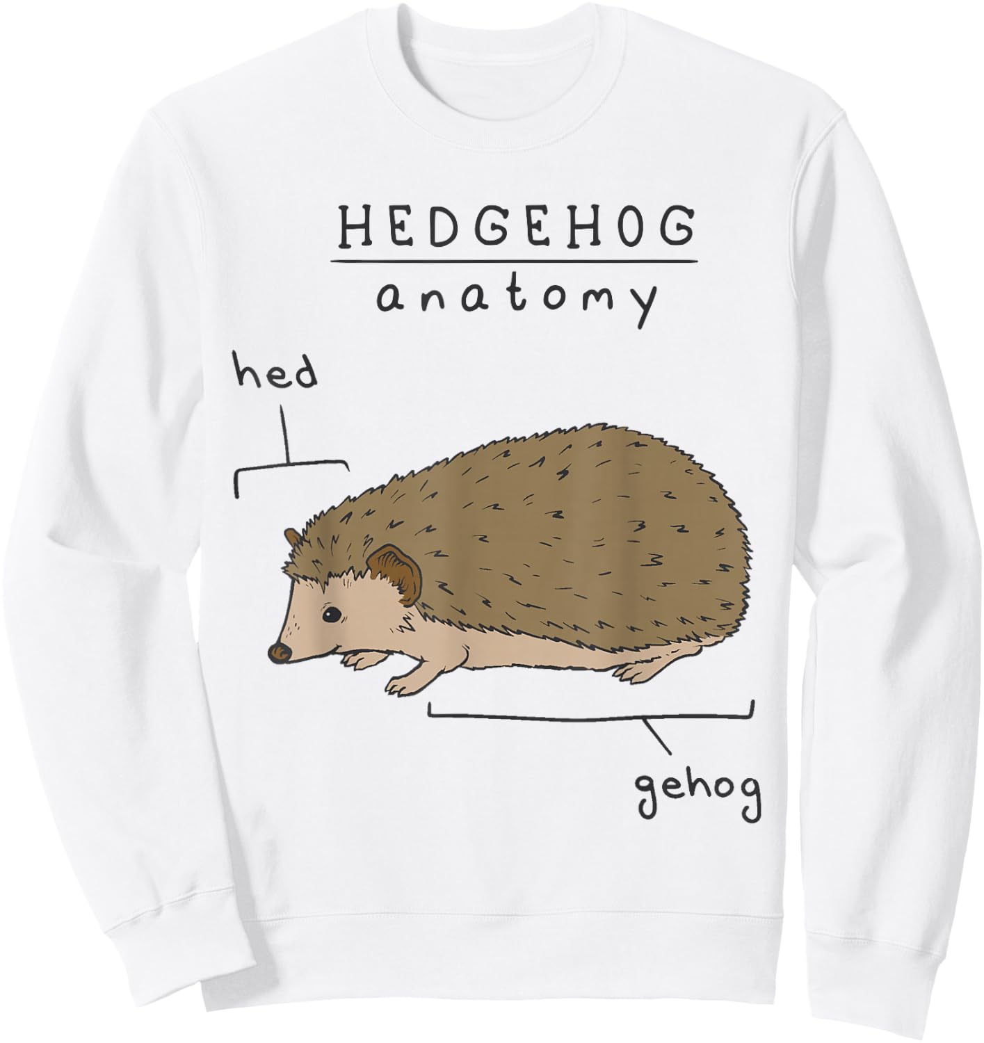 Funny Anatomy of a Hedgehog Sweatshirt - Sweatshirt | White