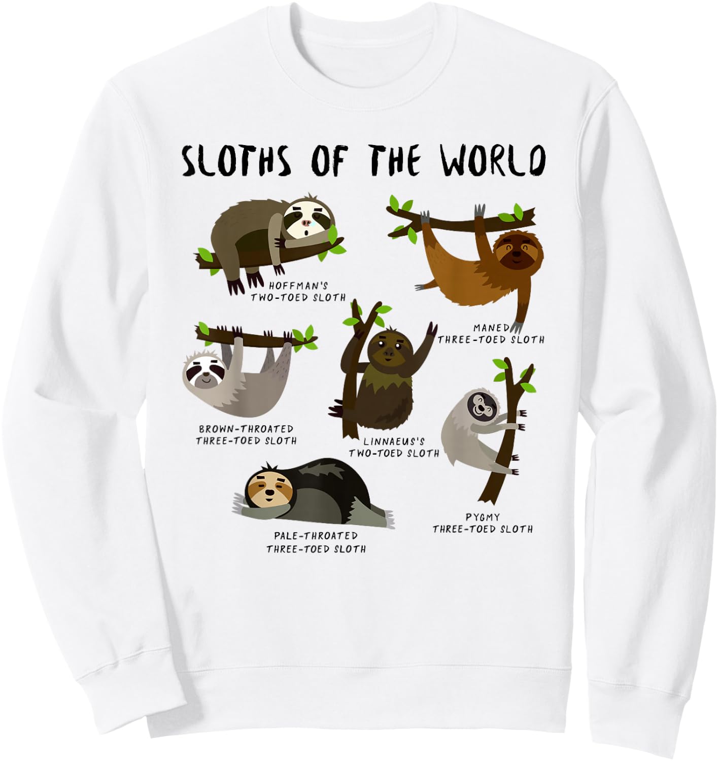 Kids Youth Boys Sloth Animal Design Themed - Types of Sloths Sweatshirt - Sweatshirt | White