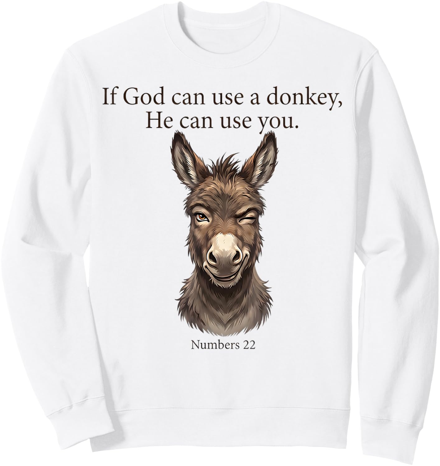 If God Can Use A Donkey He Can Use You Christian Bible Verse Sweatshirt - Sweatshirt | White