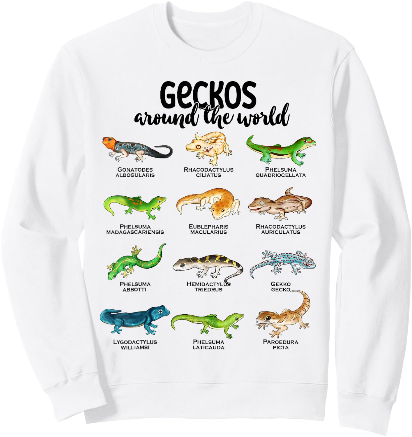 Many different geckos - geckos of the world Sweatshirt - Sweatshirt | White