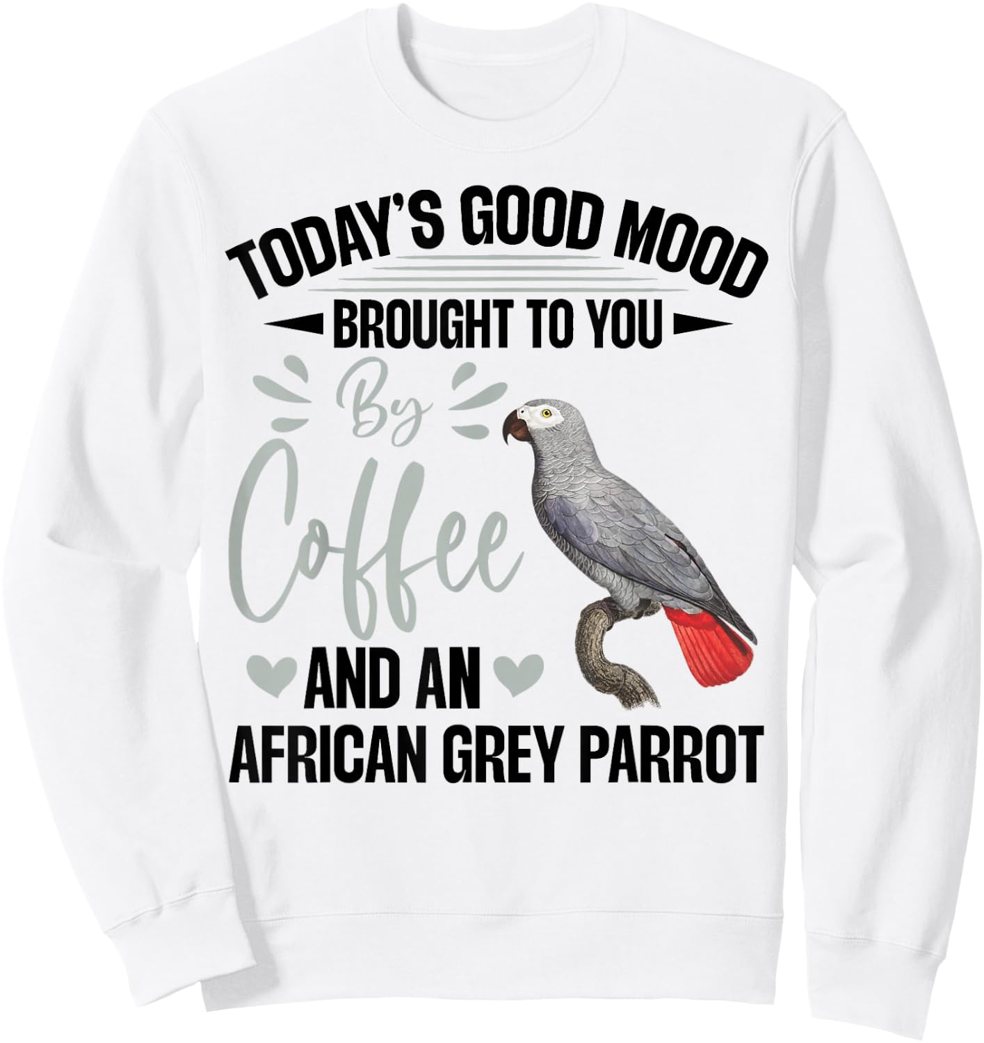 African Grey Parrot Toys African Grey Parrot Owner Parrot Sweatshirt - Sweatshirt | White