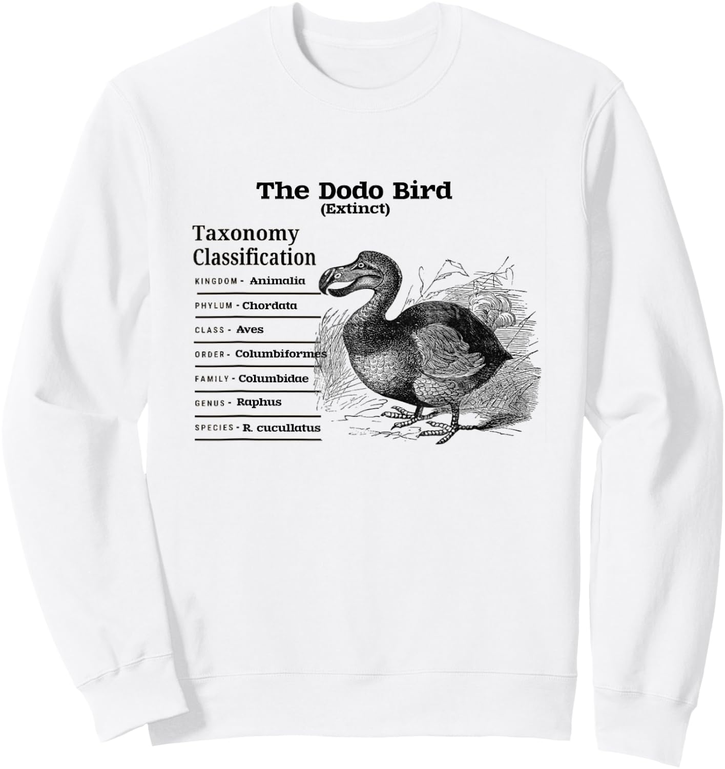 The Dodo Bird Taxonomy Classification Sweatshirt - Sweatshirt | White