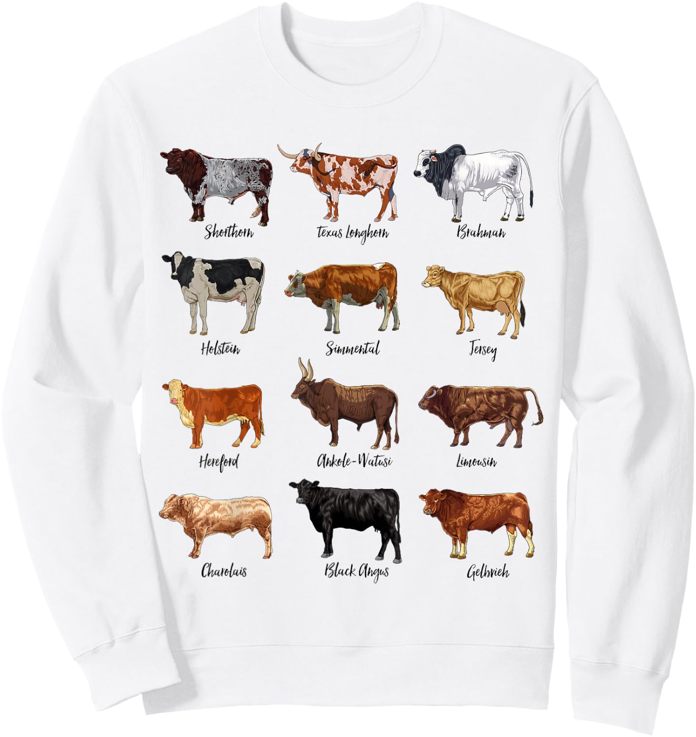 Cow drawings - types of cattle Sweatshirt - Sweatshirt | White