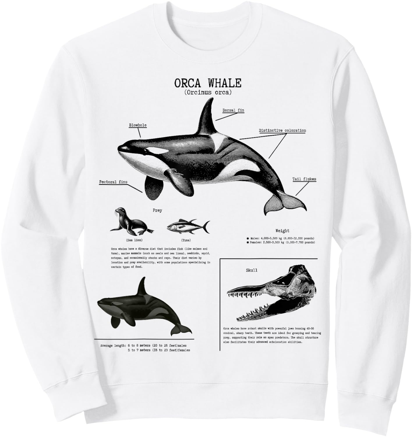 Orca Whale Anatomy Wall Lover Marine Biologist , White Sweatshirt - Sweatshirt | White