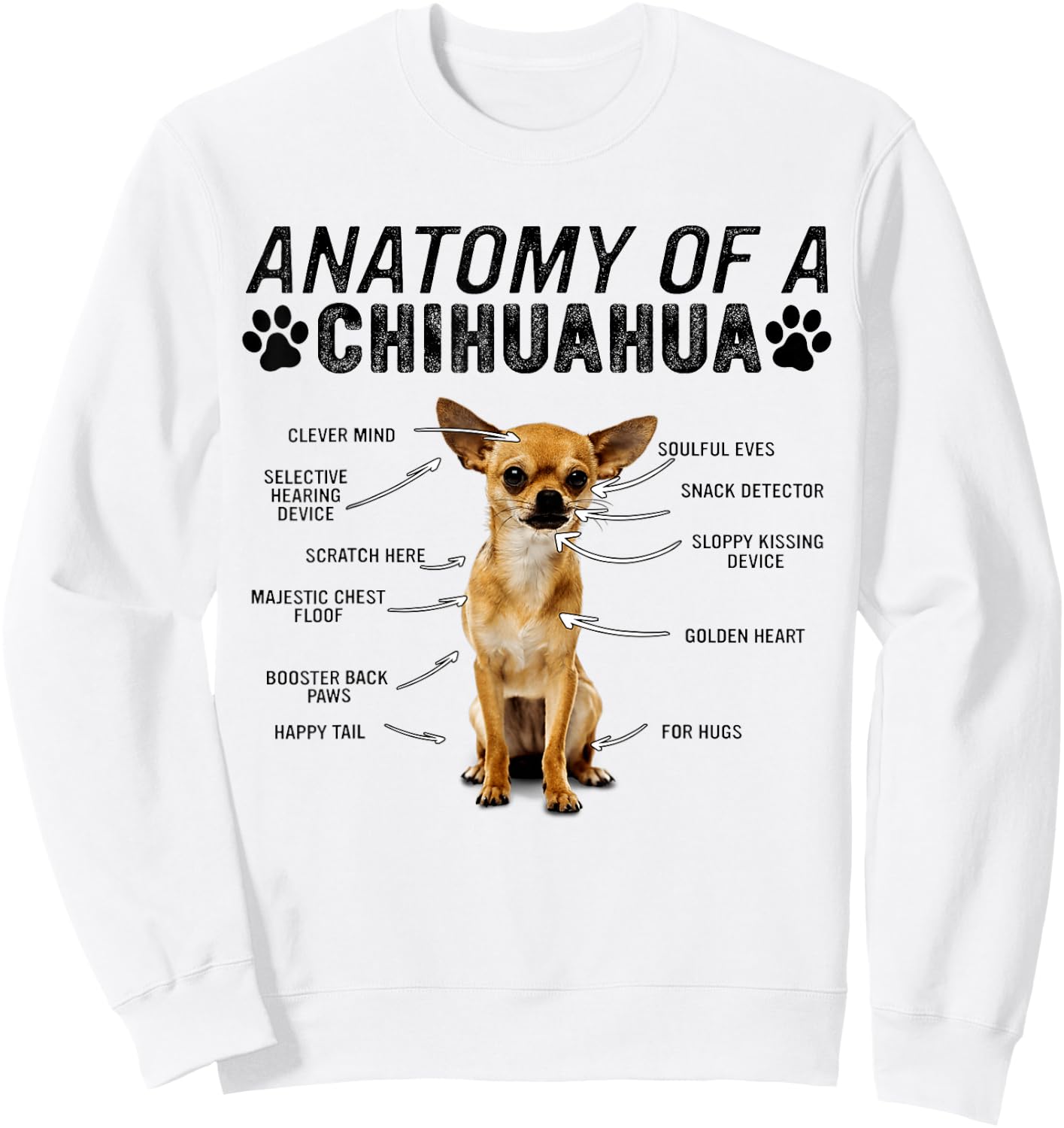 Anatomy of a Chihuahua Dog Funny Chihuahua Sweatshirt - Sweatshirt | White