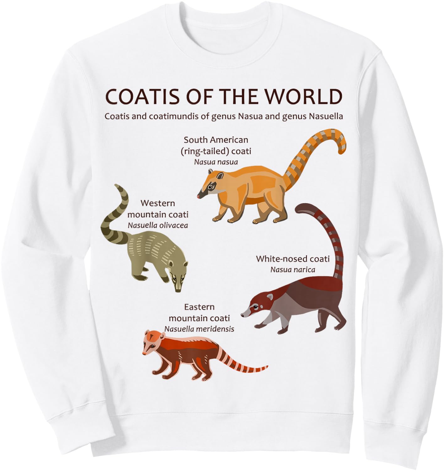 Coati and Coatimundi Species Animal Artwork Sweatshirt - Sweatshirt | White