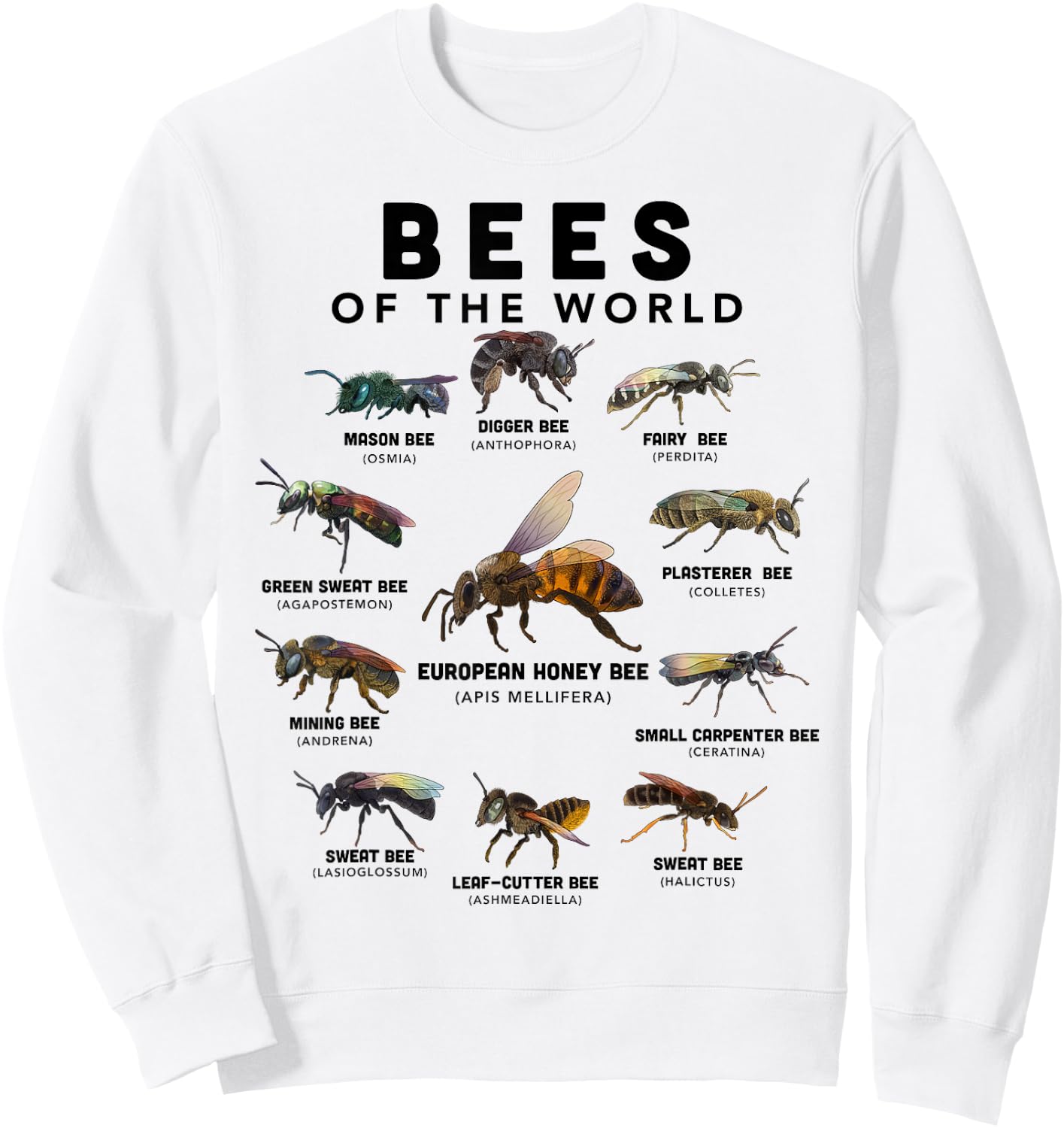 Bee Shirt Bees Of The World Beekeeper Funny Beekeeping Sweatshirt - Sweatshirt | White