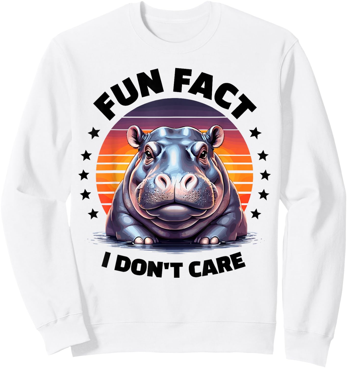 Fun Fact I Don't Care Hippo Stuff | Hippopotamus Funny Hippo Sweatshirt - Sweatshirt | White