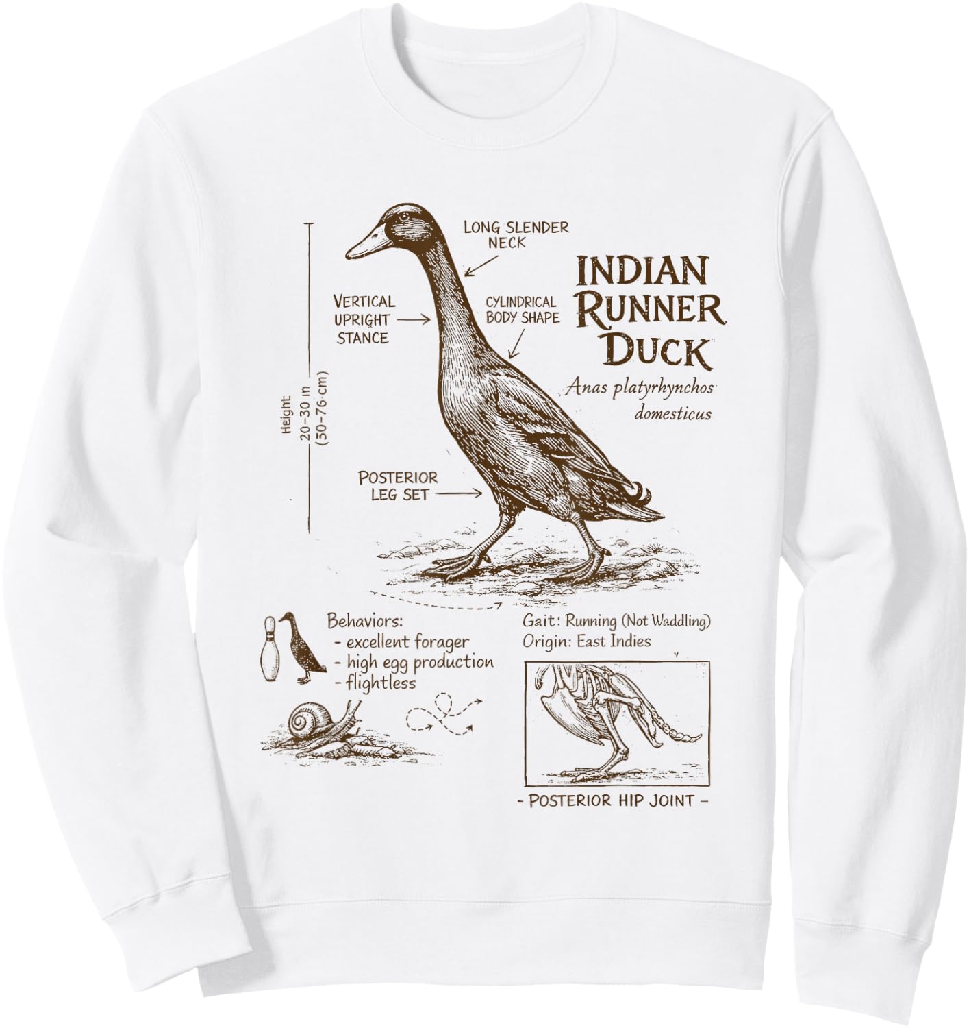 Indian Runner Duck Lover Detailed Anatomy Wildlife Animal Sweatshirt - Sweatshirt | White