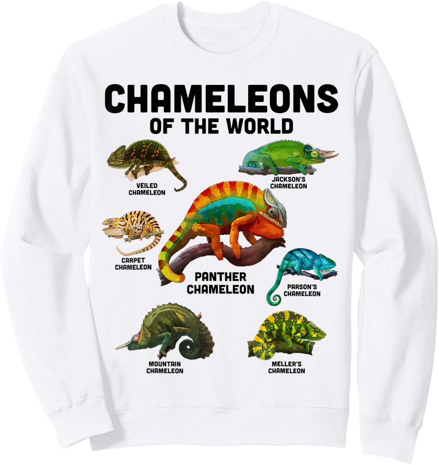 Chameleon Shirt Chameleons of the World Educational Reptile Sweatshirt - Sweatshirt | White