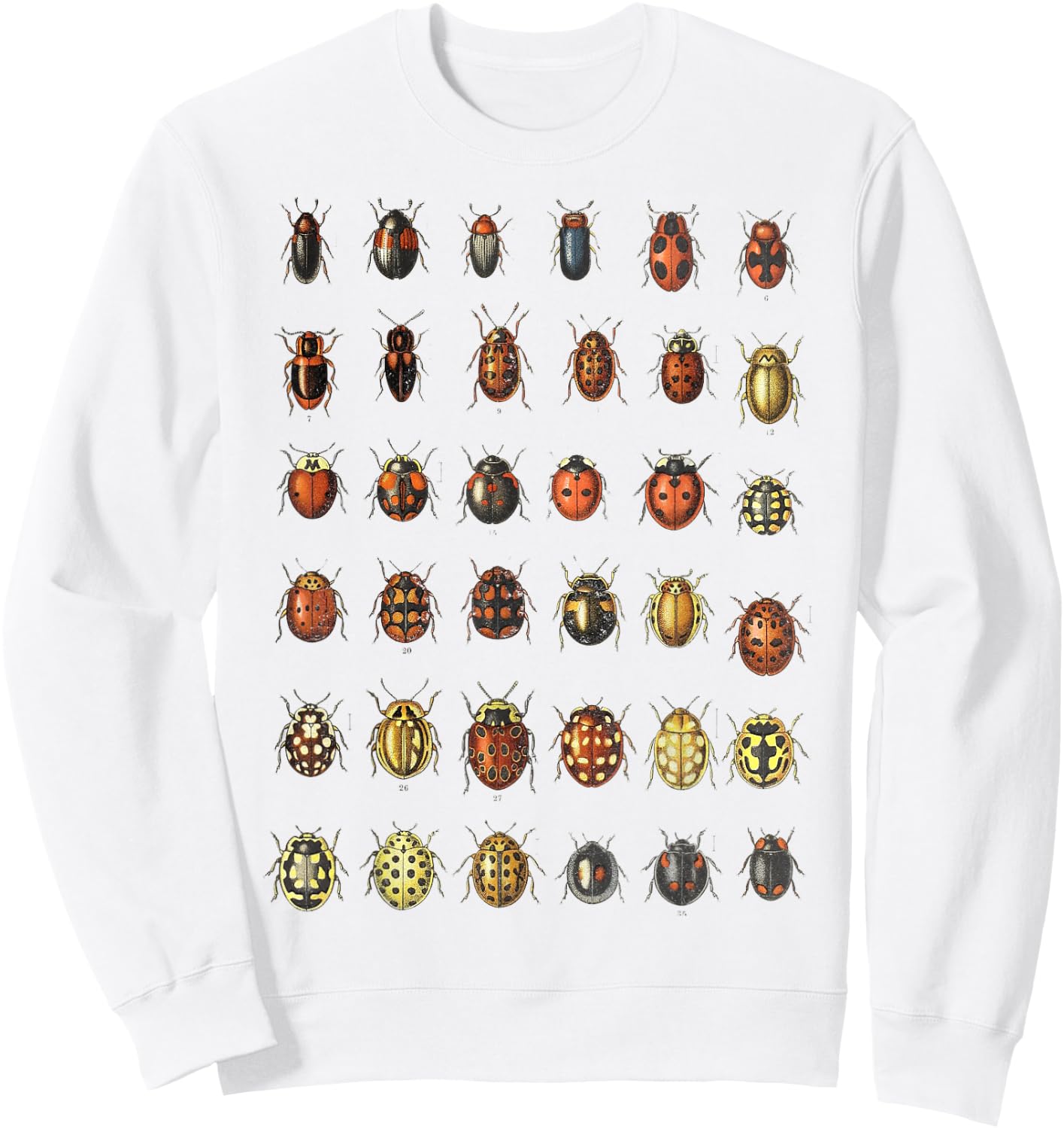 Insects Ladybugs Species Bug Vintage Entomology Entomologist Sweatshirt - Sweatshirt | White
