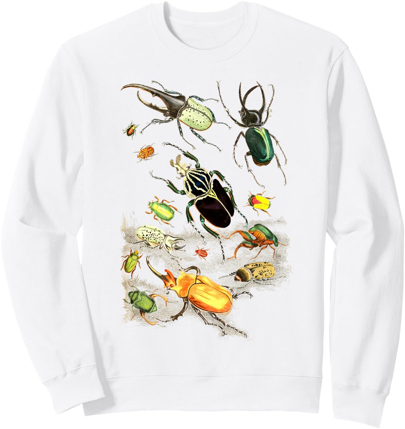 Insects Collection Species Bugs vintage Chart Entomology Sweatshirt - Sweatshirt | White