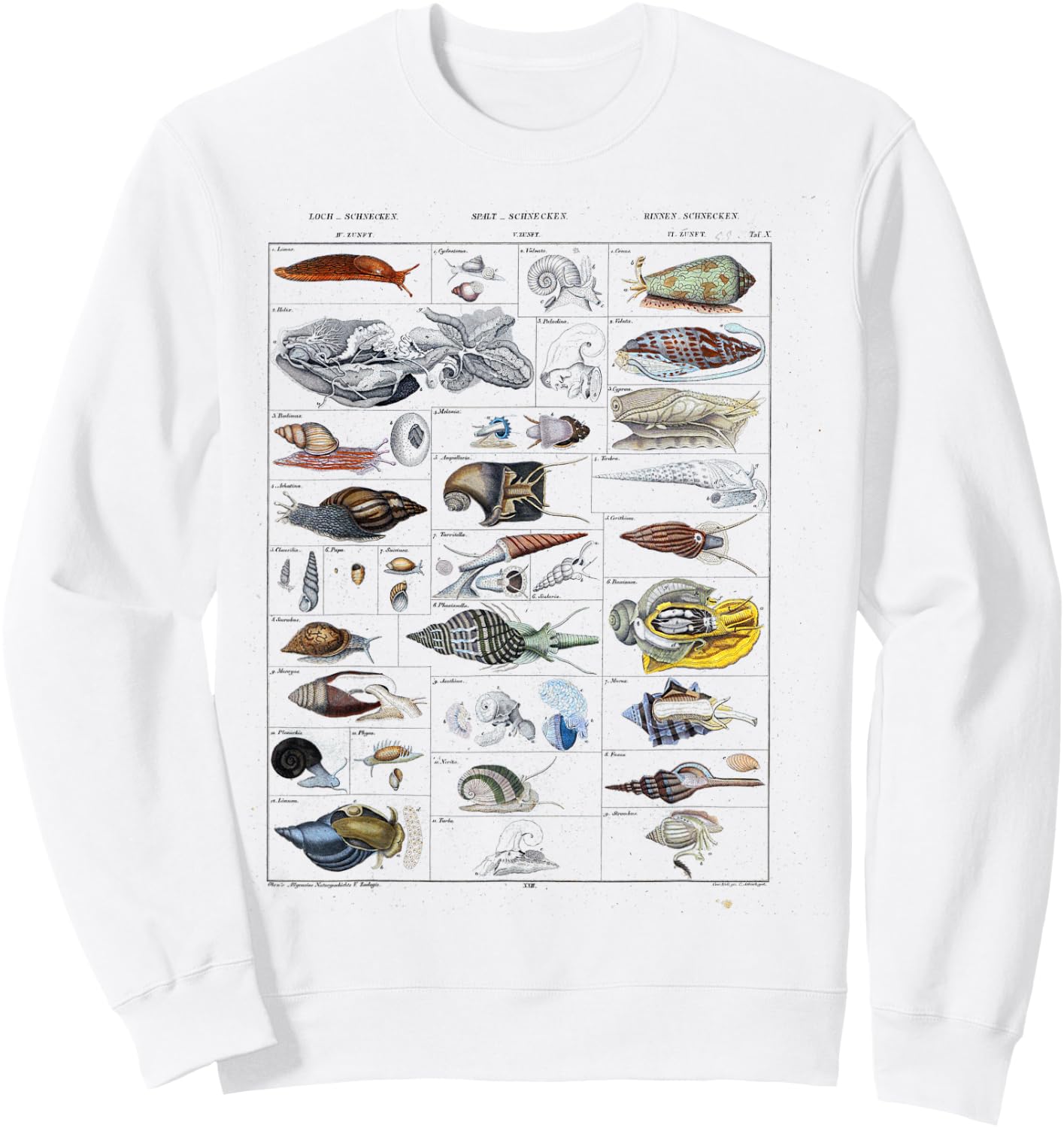 Oceanography Ocean Zoology biologists sailing Mollusk Sweatshirt - Sweatshirt | White