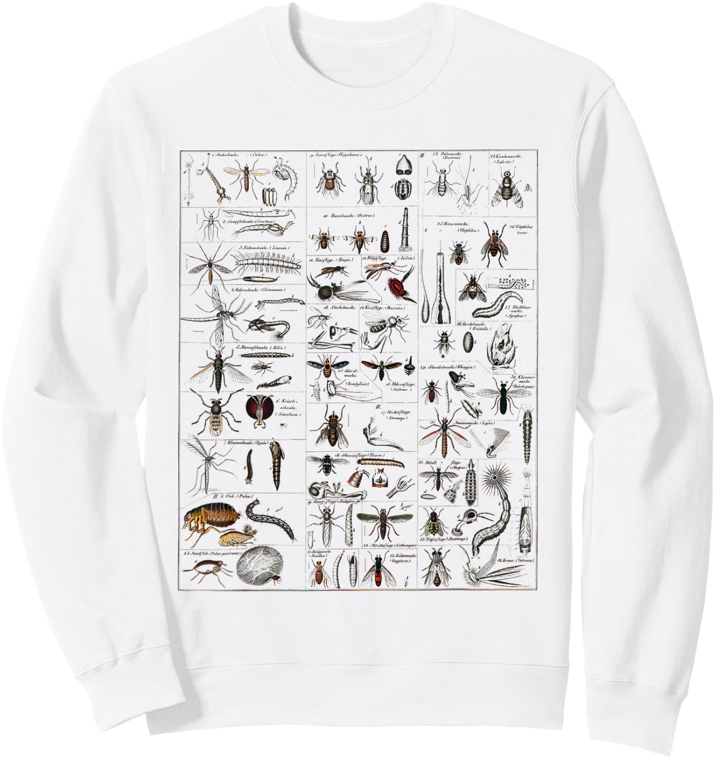 Insects Collection Species Bugs vintage Chart Entomology Sweatshirt - Sweatshirt | White