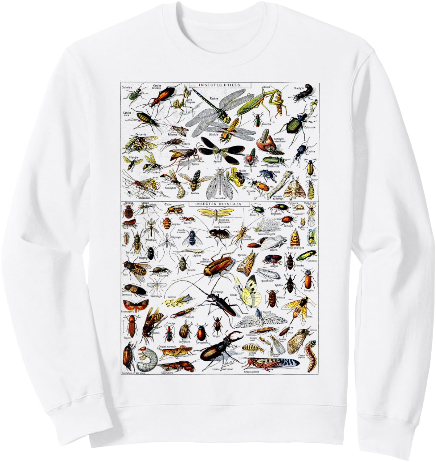 Insects Collection Species Bugs Vintage Chart Entomologie Sweatshirt - Sweatshirt | White