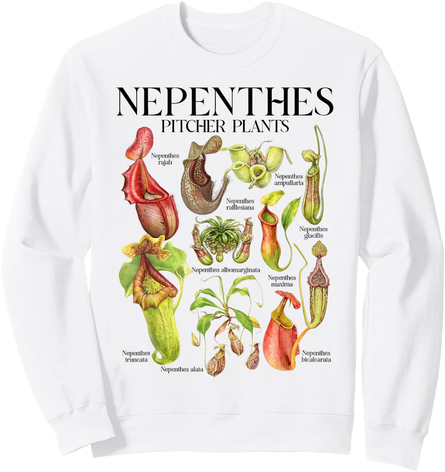 Carnivorous Plant Lover Botanical Nepenthes Pitcher Plants Sweatshirt - Sweatshirt | White