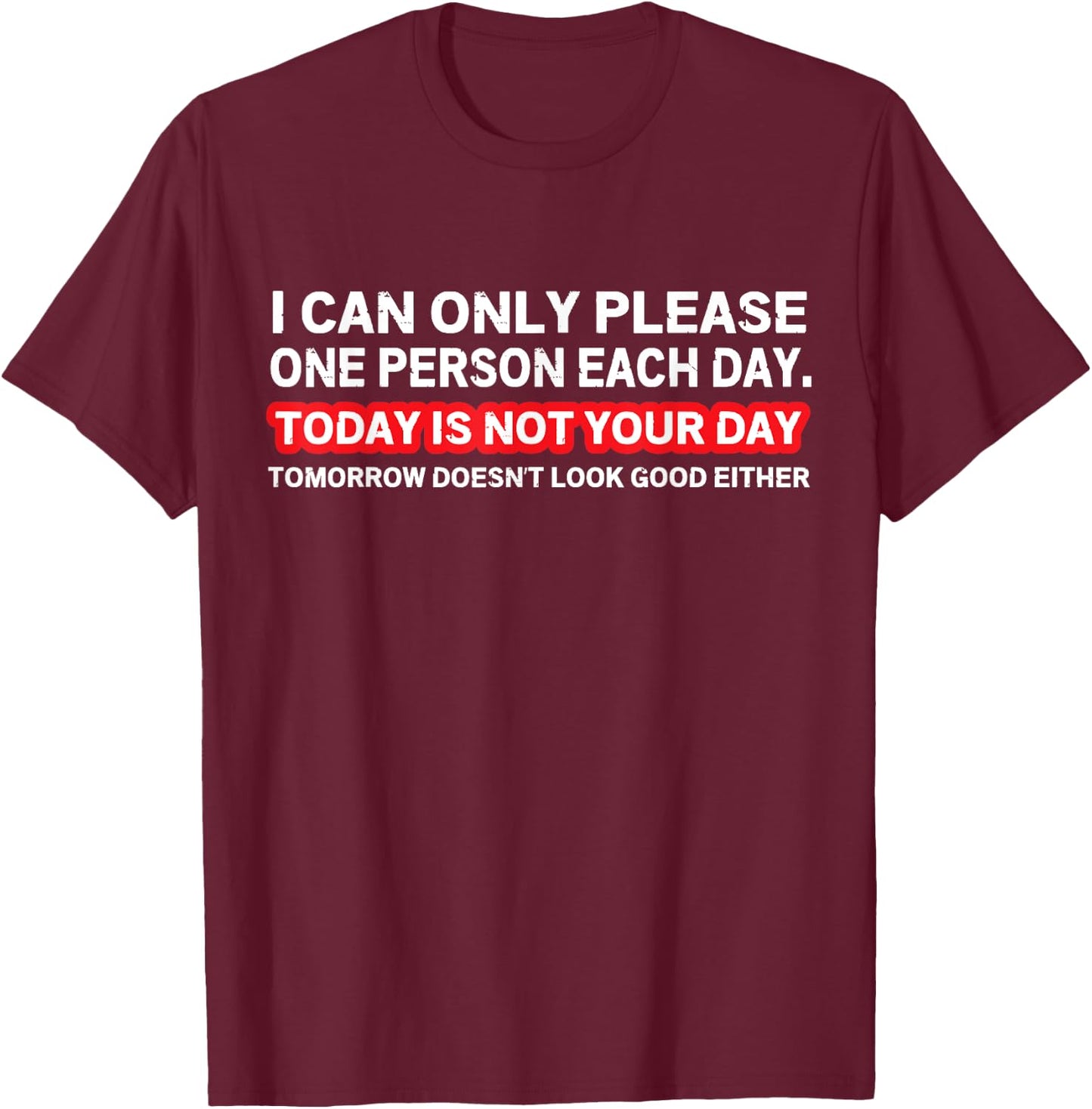 I Can Only Please One Person Per Day Sarcastic Quote T-Shirt - T-Shirt | Maroon