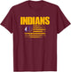 Indianola Indians Logo USA Flag Pride HS T-Shirt - T-Shirt | Maroon