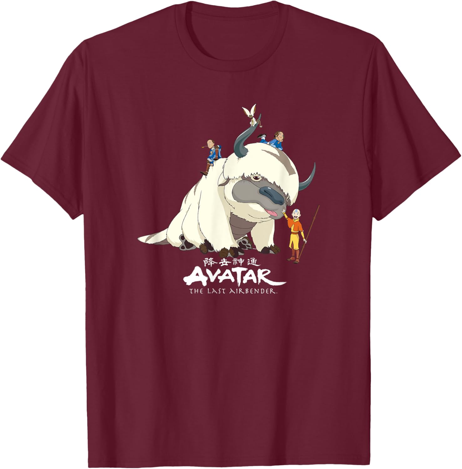 Avatar: The Last Airbender Team Avatar Group Shot Distressed T-Shirt - T-Shirt | Maroon