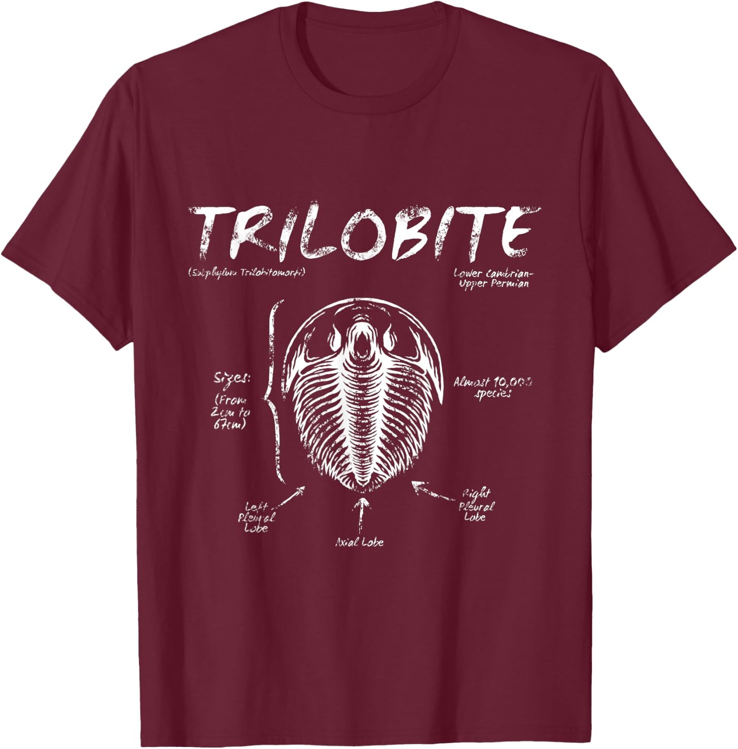 Trilobite Geology Teacher Fossil Men Women Kids T-Shirt - T-Shirt | Maroon