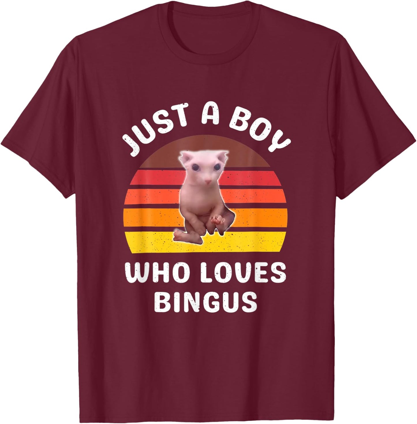 Just A Boy Who Loves Bingus Funny Hairless Sphynx Cat T-Shirt - T-Shirt | Maroon
