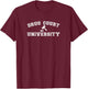 Drug Court University AA NA Clean & Sober Living in Recovery T-Shirt - T-Shirt | Maroon