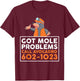 Got Mole Problem Call Avogadro Shirt - Funny Mole T-Shirt - T-Shirt | Maroon