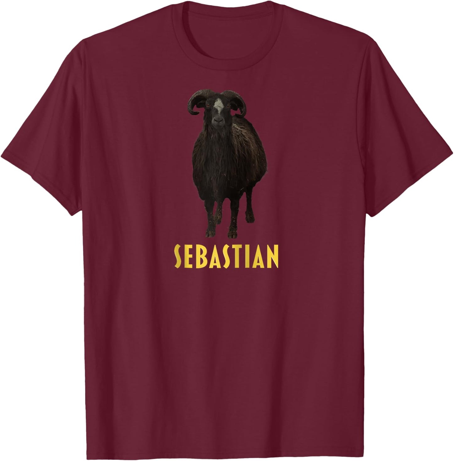 Sebastian Raglan Baseball T-Shirt - T-Shirt | Maroon