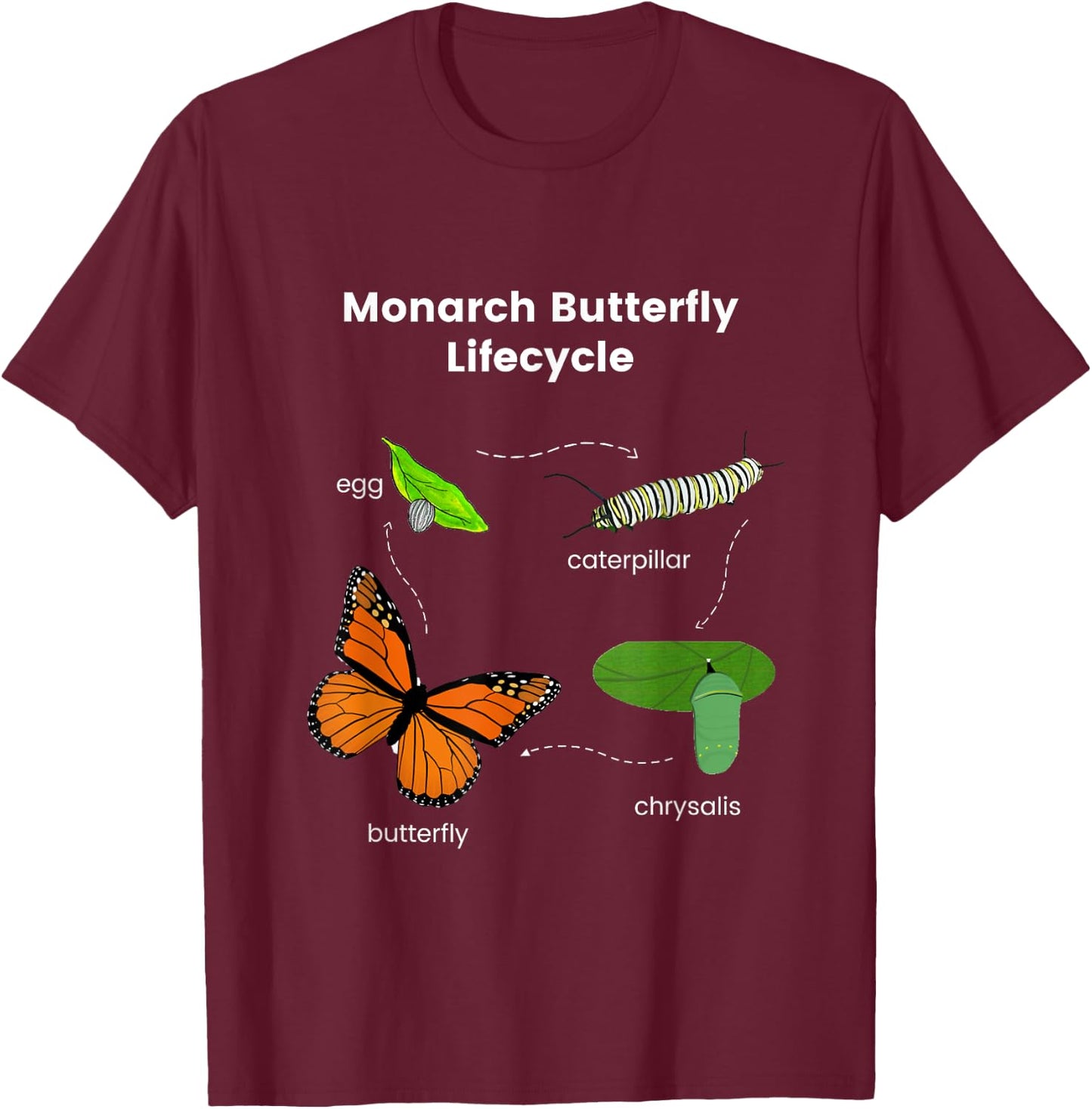 Monarch Butterfly Lifecycle T-Shirt - T-Shirt | Maroon