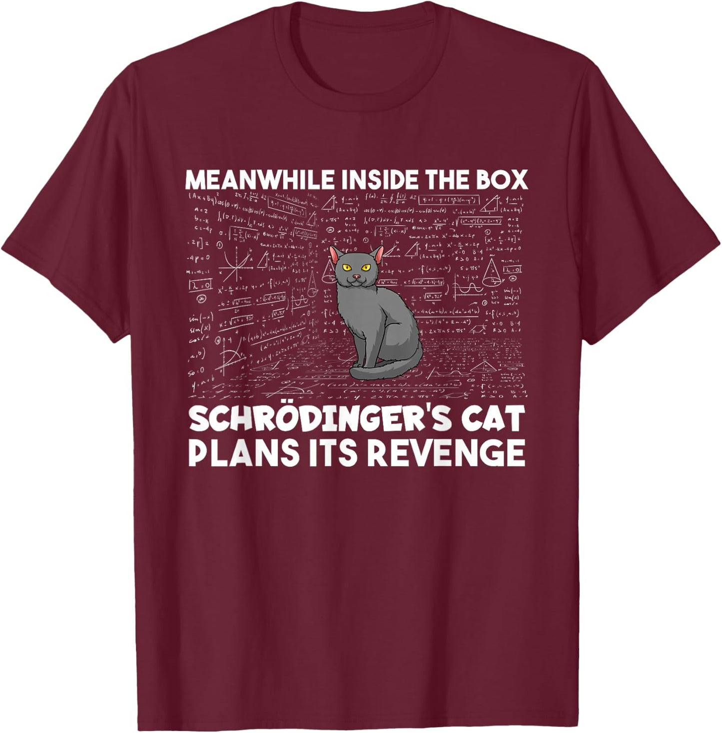 Schrödingers Cat Inside The Box Funny Physics Student , black T-Shirt - T-Shirt | Maroon