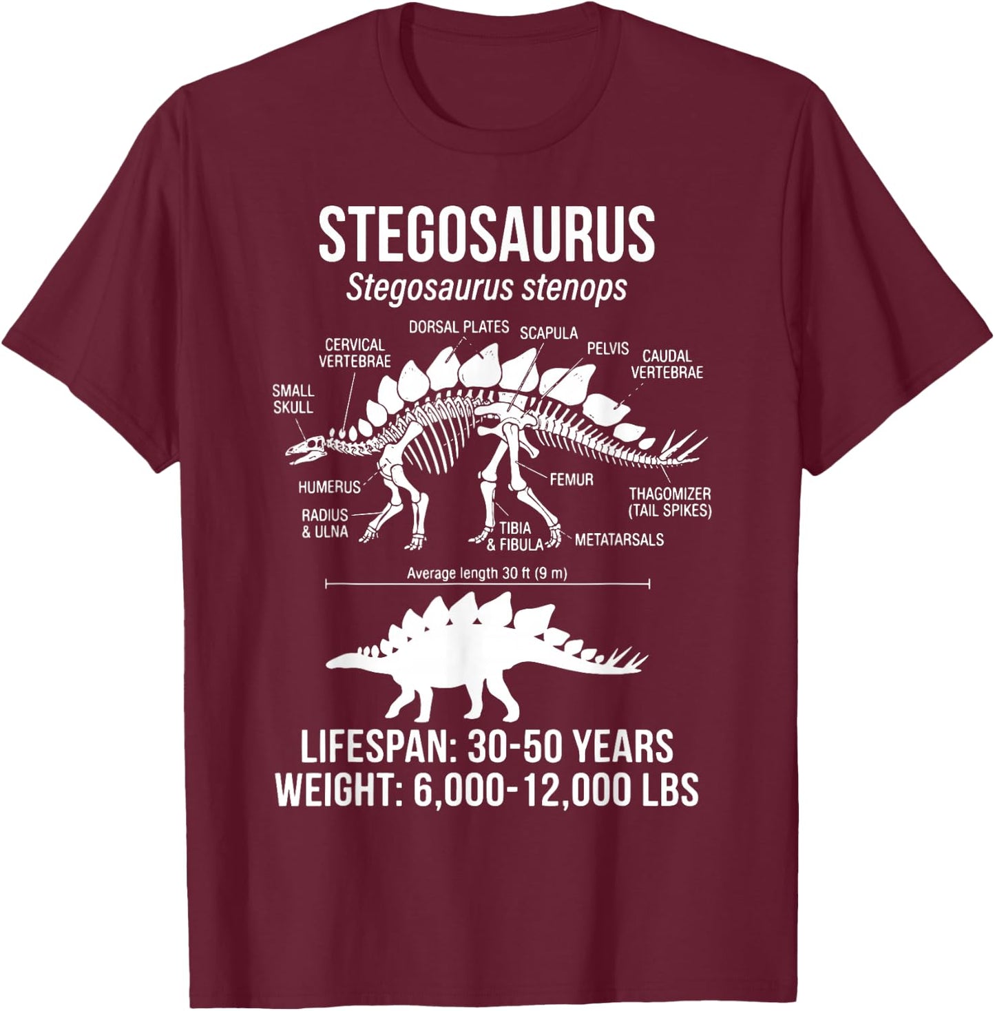 Stegosaurus Diagram T-Shirt - T-Shirt | Maroon