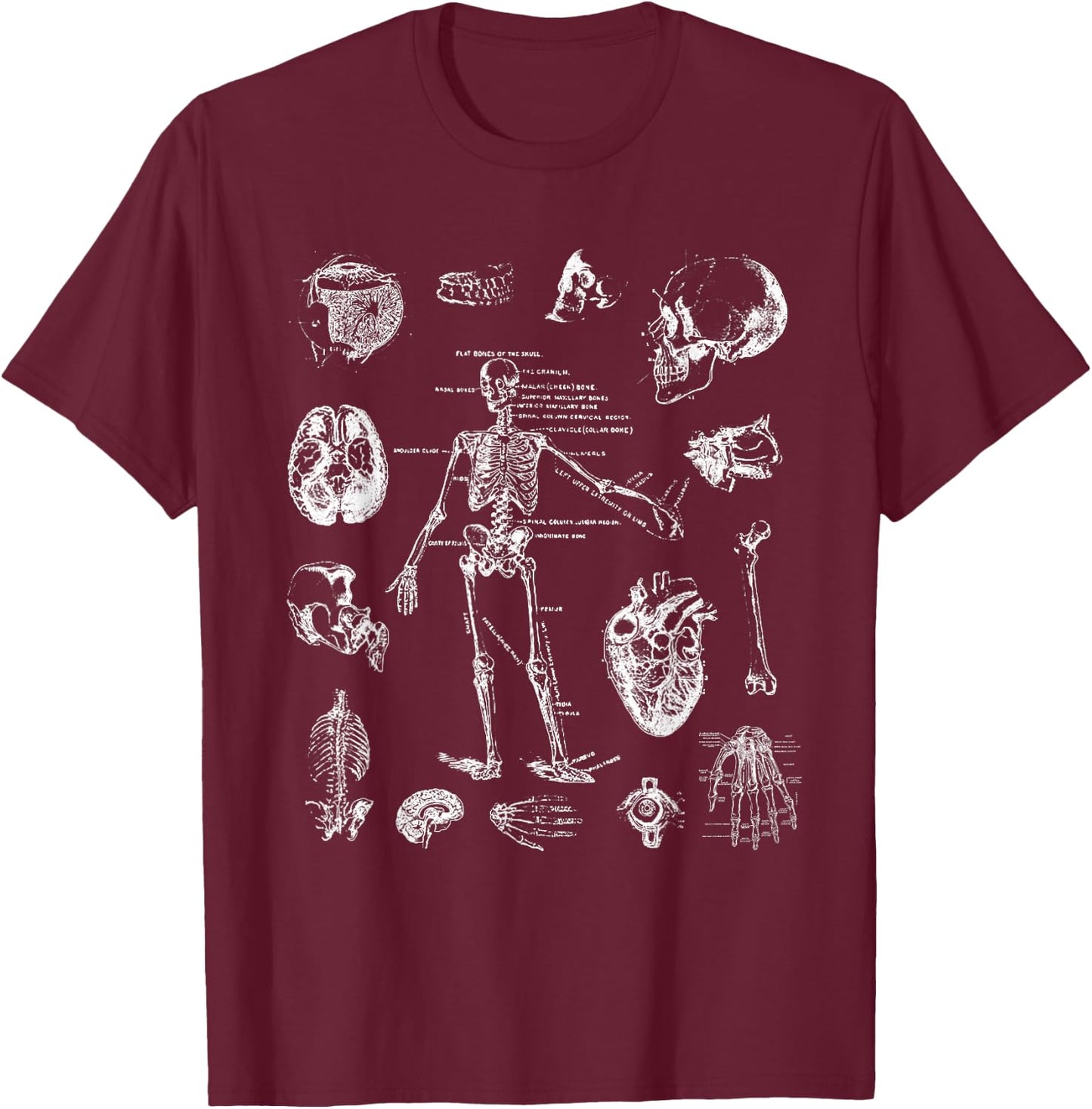 Human Skeleton Anatomy Drawing Diagram Spooky Halloween T-Shirt - T-Shirt | Maroon