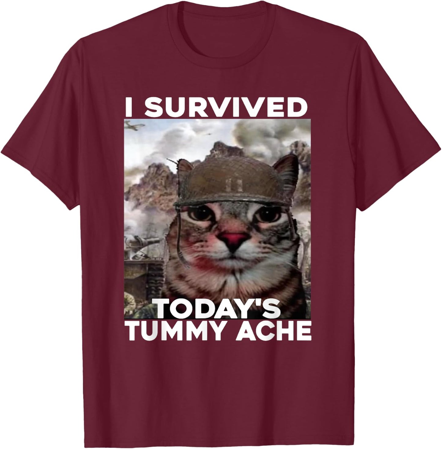 I Survived Today's Tummy Ache cat T-Shirt - T-Shirt | Maroon